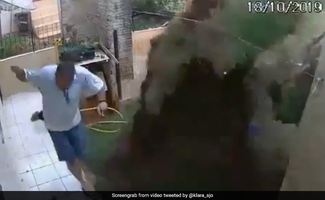 कॉकरोच को मारने के लिए घर के गार्डन में किया धमाका लेकिन अब पछता रहा है ये शख्स, देखें VIDEO