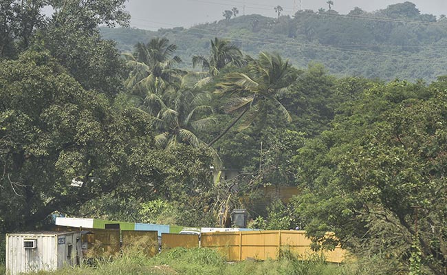 Aarey Case: Construction Can Continue, But No Tree Cutting, Says Supreme Court On Aarey