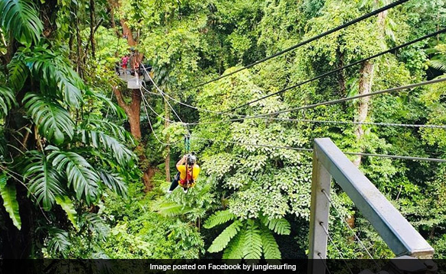 Man Dies As Couple Falls From 5-Storey-High Jungle Zipline, Woman Injured