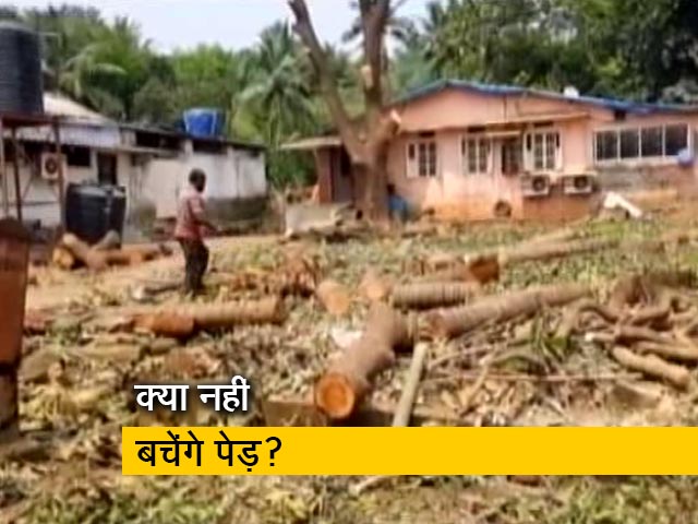 आरे के पेड़ काटने पर रोक नहीं, कटाई के खिलाफ याचिका हाईकोर्ट में खारिज