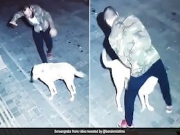 आधी रात सड़क पर चल रहा था शख्स, रास्ते में दिखा कुत्ता तो करने लगा डांस, देखें VIDEO आधी रात सड़क पर चल रहा था शख्स, रास्ते में दिखा कुत्ता तो करने लगा डांस, देखें VIDEO