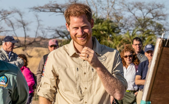 Prince Harry Takes Over National Geographic's Instagram