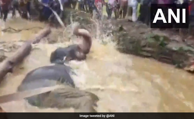 Watch: Elephant In Odisha Fell Into A Muddy Well. 2-Hour Rescue Pays Off