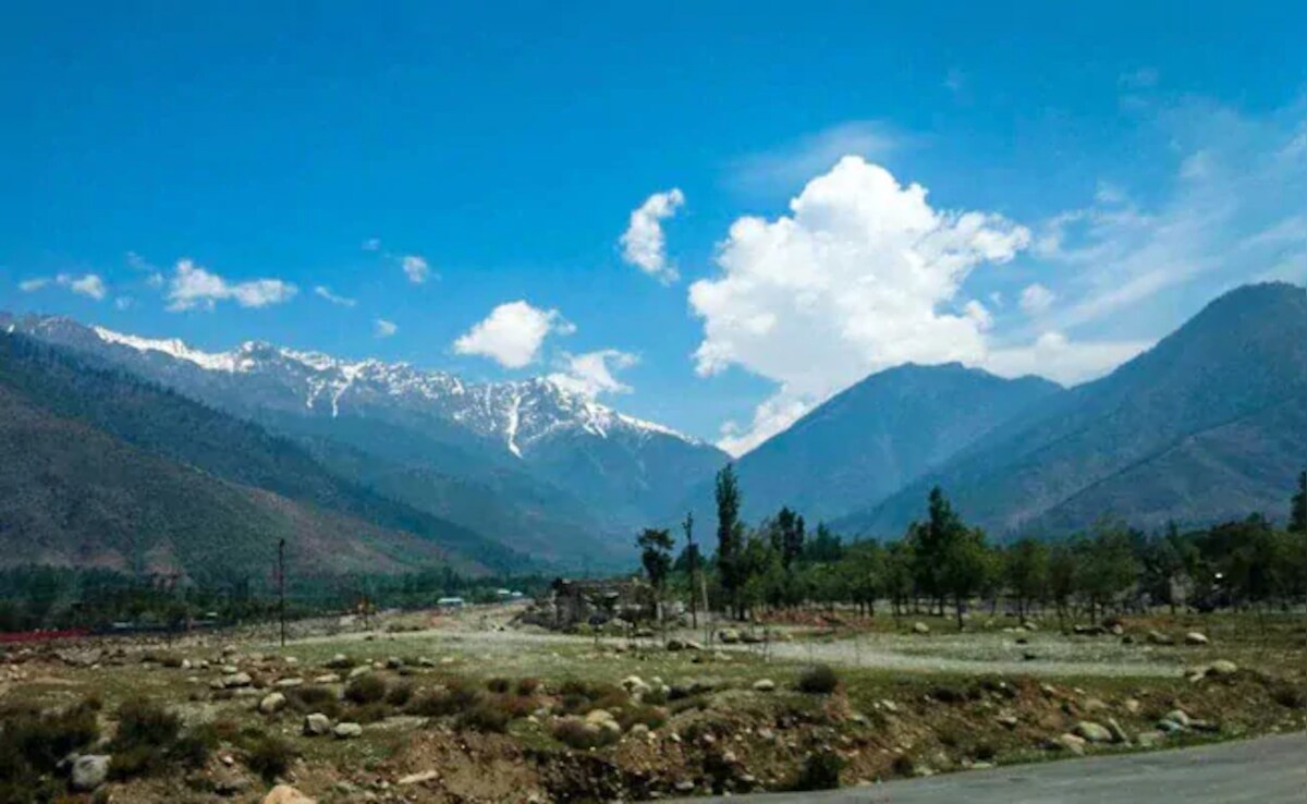 Officials Issue Warning Over High Risk Of Forest Fire In Kashmir Over Next Week