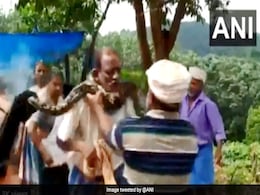 Python Coils Itself Around Kerala Man's Neck In Horrifying Video Python Coils Itself Around Kerala Man's Neck In Horrifying Video
