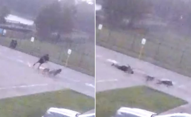 On Camera: Man Collapses Instantly After Being Struck By Lightning. Then...
