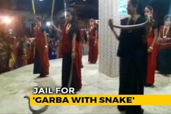 Gujarat Women Seen In Video Holding Cobras During Garba, 5 Arrested Gujarat Women Seen In Video Holding Cobras During Garba, 5 Arrested