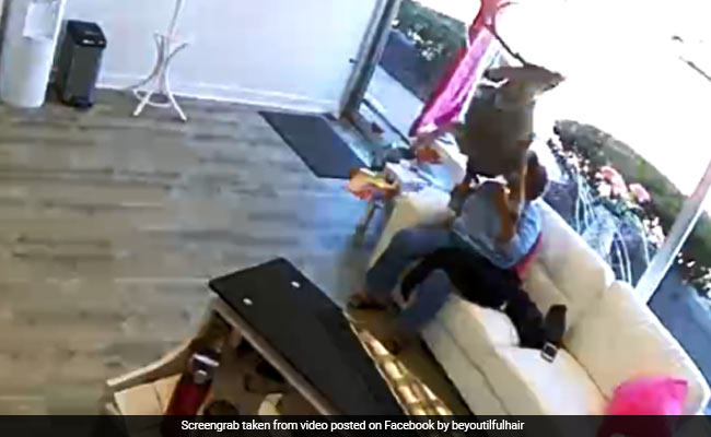 खिड़की को तोड़ते हुए महिला के ऊपर कूद गया हिरण, दुकान के अंदर किया ऐसा बवाल, देखें  VIDEO