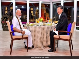 "Dragon And Elephant Dance Correct Choice For China, India": Xi Jinping "Dragon And Elephant Dance Correct Choice For China, India": Xi Jinping