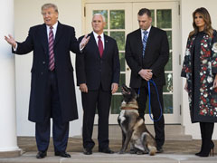 "Tough Cookie": Trump Honours Dog Injured In Raid That Killed Abu Bakr al-Baghdadi