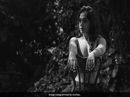 आमिर खान की बिटिया ने कराया फोटोशूट, इस अंदाज में दिखीं इरा खान- देखें Pics आमिर खान की बिटिया ने कराया फोटोशूट, इस अंदाज में दिखीं इरा खान- देखें Pics