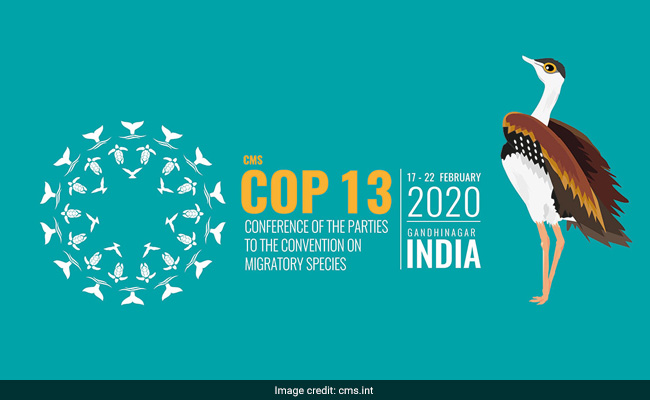 India Gears Up For UN Summit On Migratory Species