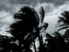 East Coast Braces For Heavy Rain As Cyclone 'Asani' May Become Depression
