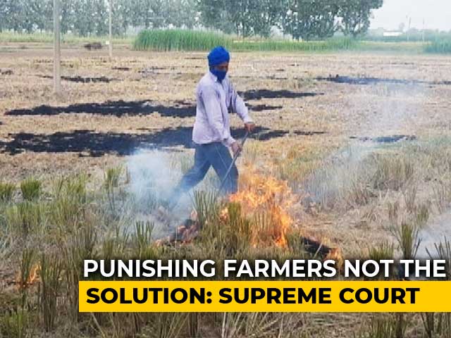 "Time To Punish Officers": Top Court Raps States Over Stubble-Burning