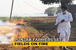 Not Only Cash, Arrange Store House For Stubble, Say Farmers Not Only Cash, Arrange Store House For Stubble, Say Farmers