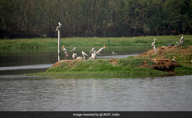 India Gets $43 Million From UNDP To Boost Climate In 3 Coastal Regions