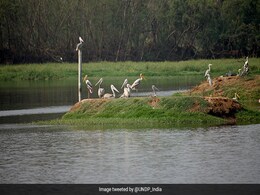 India Gets $43 Million From UNDP To Boost Climate In 3 Coastal Regions India Gets $43 Million From UNDP To Boost Climate In 3 Coastal Regions