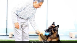 Ratan Tata: A Champion Of Dogs And Advocate For Stray Animal Care