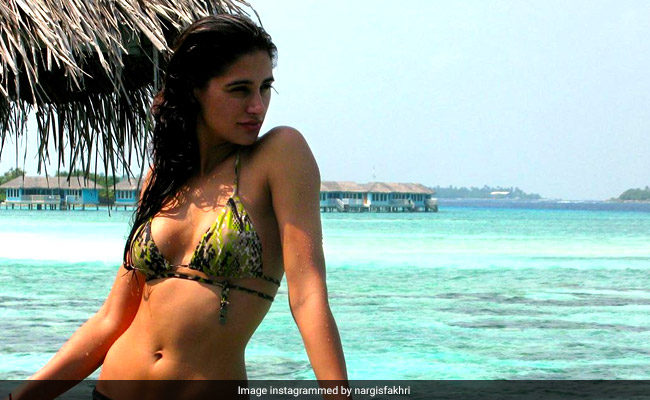 Nargis Fakhri, 'Dreaming' Of New Vacation, Posts Wow Pic