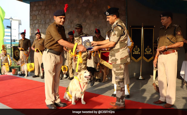 "Born As A Dog, Retired As A Soldier": CISF Honours Canines On Retirement