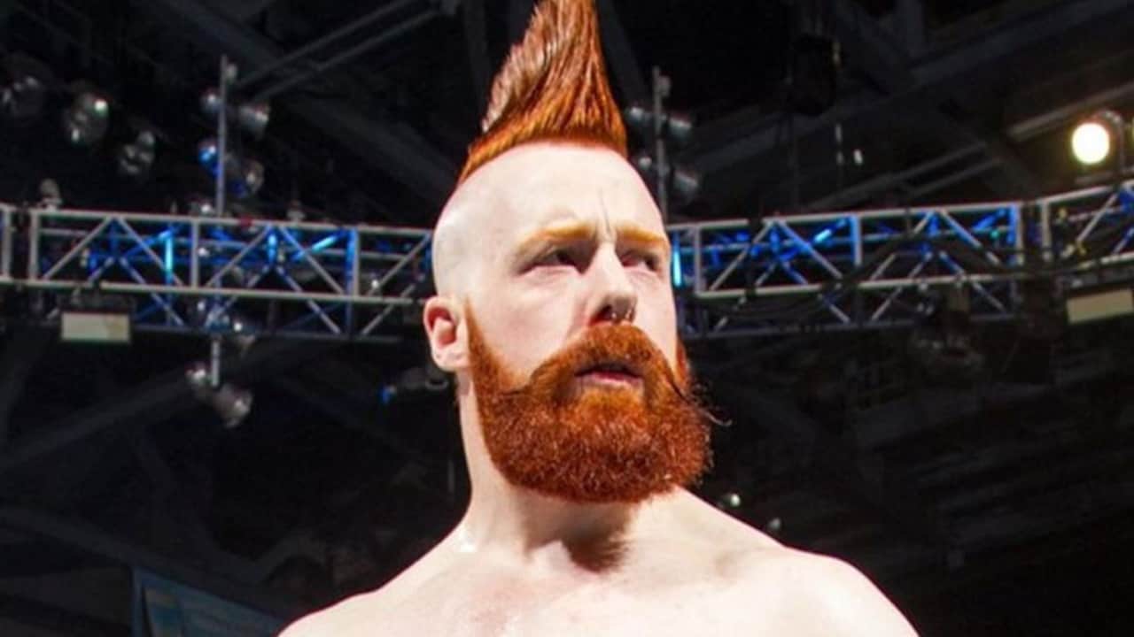 4-Time WWE World Champion Met His Wife At A Flea Market, She Reveals