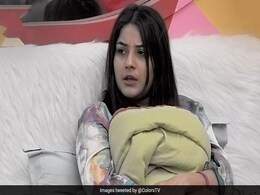 <i>Bigg Boss 13</i> Written Update November 4, 2019: Shehnaaz Gill Maintains Distance From Siddharth Shukla And Aarti Singh <i>Bigg Boss 13</i> Written Update November 4, 2019: Shehnaaz Gill Maintains Distance From Siddharth Shukla And Aarti Singh