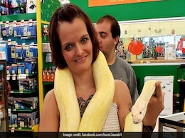 US Woman Found Dead With Python Wrapped Around Neck At Home With 140 Snakes US Woman Found Dead With Python Wrapped Around Neck At Home With 140 Snakes