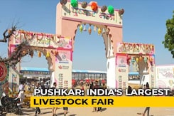 Sponsored: Pushkar Fair: A Mix Of Colours And Culture Sponsored: Pushkar Fair: A Mix Of Colours And Culture