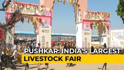 Sponsored: Pushkar Fair: A Mix Of Colours And Culture