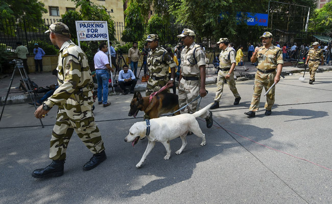 How Dogs Get Trained To Accompany Special Forces In Risky Operations