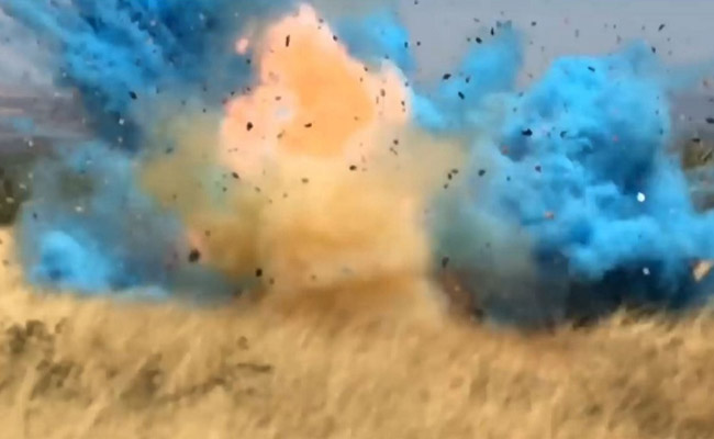 A Plane Crash, Massive Fire, Explosion - Gender Reveal Parties In US Turn Fatal