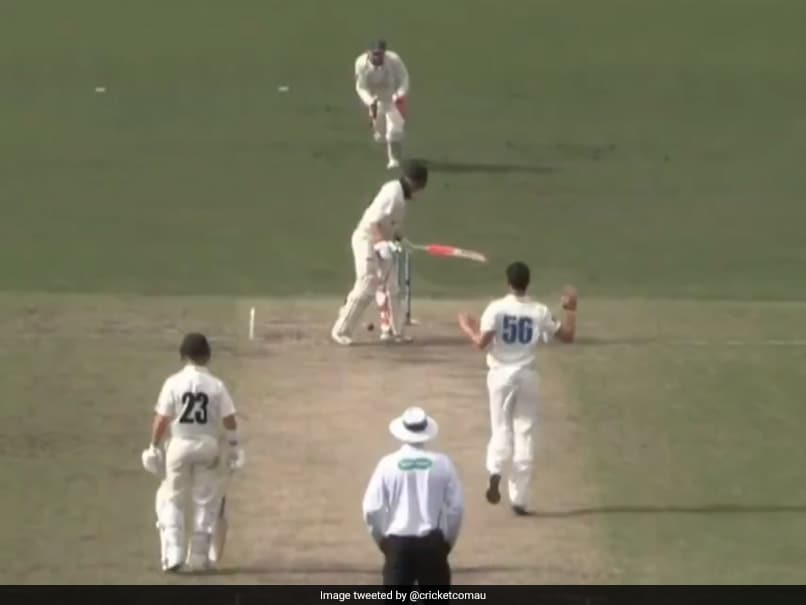 "Sorcery" On Display As Mitchell Starc Castles Batsman After Ball Hits "Sorcery" On Display As Mitchell Starc Castles Batsman After Ball Hits