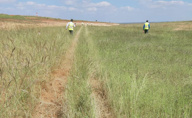 GoAir का विमान बेंगलुरु एयरपोर्ट पर रनवे से फिसला, सभी 180 यात्री सुरक्षित, पायलट सस्पेंड