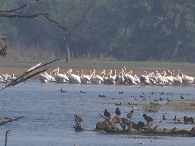 स्पांसर्ड : पर्यटन का प्रमुख केंद्र है पूर्वी राजस्थान