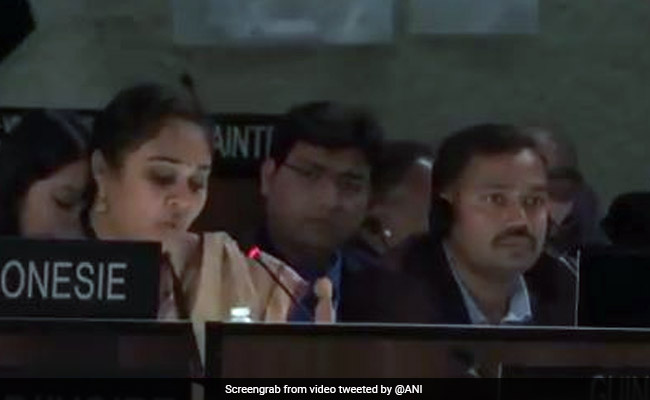 Pakistan Has "DNA Of Terrorism": India's Reply On Kashmir At UNESCO