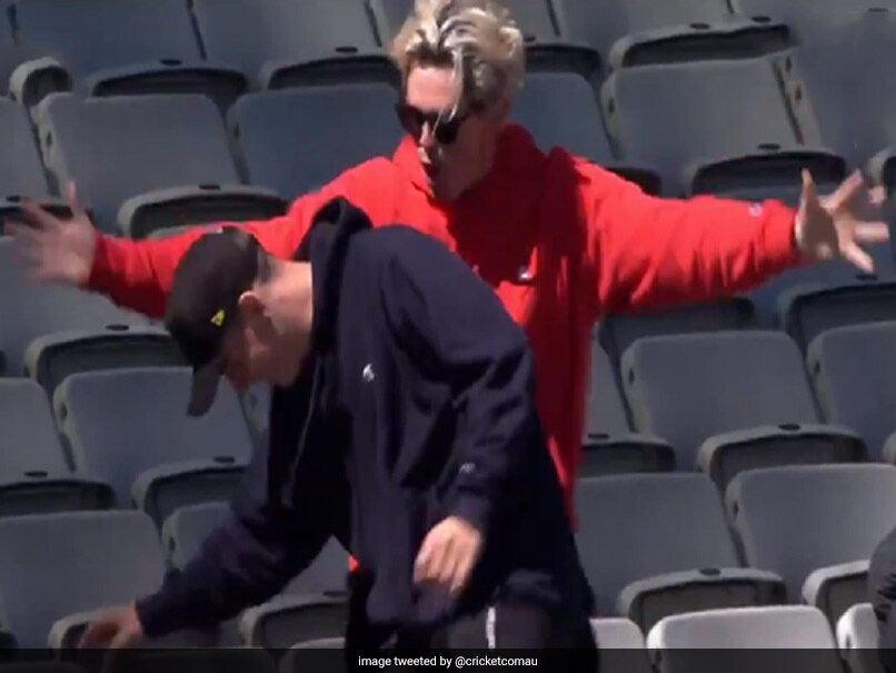 Fan Reacts Angrily As Friend Drops Aaron Finch In The Stands. Watch Video Fan Reacts Angrily As Friend Drops Aaron Finch In The Stands. Watch Video