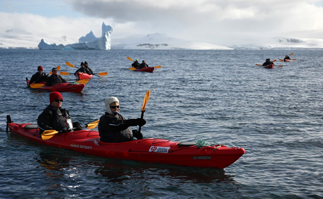 80,000 Tourists Visit Antarctica To Swim With Penguins Amid Criticism
