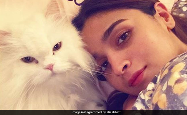 Alia Bhatt's Snuggled-Up Tuesday Summed Up In A 'Purr'fect 'Like Mother Like Cat' Pic