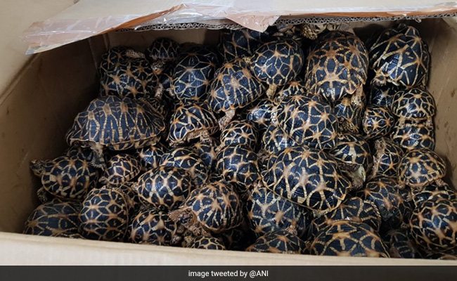 Hyderabad Cops Bust Illegal Wildlife Trade Racket, Arrest One