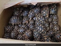 Hyderabad Cops Bust Illegal Wildlife Trade Racket, Arrest One Hyderabad Cops Bust Illegal Wildlife Trade Racket, Arrest One