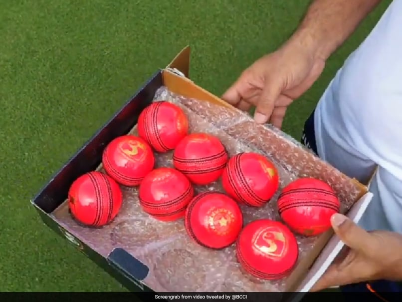 India vs Bangladesh: Harbhajan Singh Reckons Wrist Spinners Will Be Difficult To Read With Pink Ball India vs Bangladesh: Harbhajan Singh Reckons Wrist Spinners Will Be Difficult To Read With Pink Ball