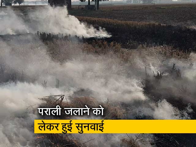 SC ने केंद्र और राज्य सरकारों को लगाई फटकार