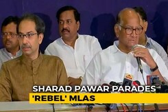 Ajit Pawar's Decision Against NCP Policies, Says Sharad Pawar Ajit Pawar's Decision Against NCP Policies, Says Sharad Pawar