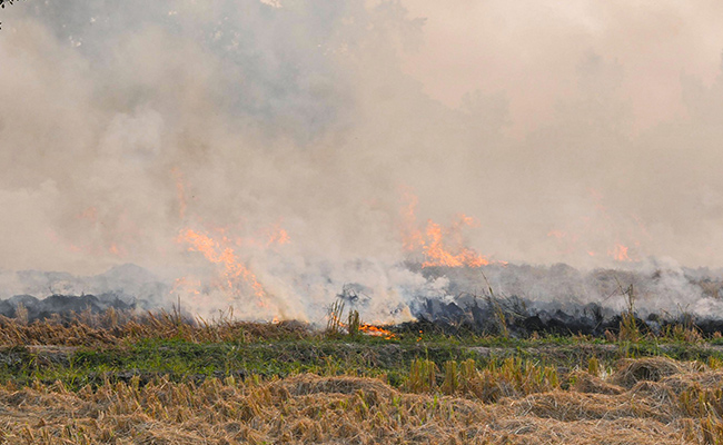 अनूठी पहल : पराली नहीं जलाने वाले किसानों को सरपंच ने कराई हवाई सैर