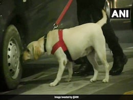 Unattended Bag That Created Panic At Delhi Airport Claimed By Passenger Unattended Bag That Created Panic At Delhi Airport Claimed By Passenger