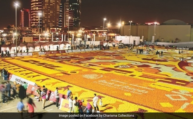 Guinness World Records: Banglore's Largest Natural Flower Carpet ...