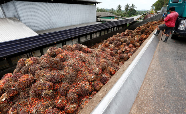 India Resumes Buying Malaysian Palm Oil After Discount: Report