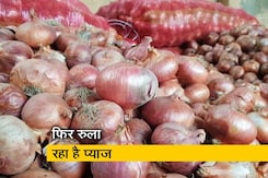 दिल्ली-एनसीआर में 100 रुपये किलो तक बिक रहा है प्याज दिल्ली-एनसीआर में 100 रुपये किलो तक बिक रहा है प्याज
