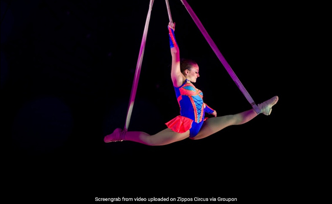 Circus Acrobat Falls 30-Feet In Front Of Screaming Onlookers