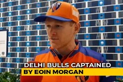 In The Den Of Delhi Bulls In The Den Of Delhi Bulls